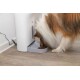 Ein Colliehund frisst aus einer grauen Tierfutterschüssel, die an einem weißen automatischen Tierfutterspender befestigt ist, mit Kroketten, die in der Schüssel sichtbar sind.