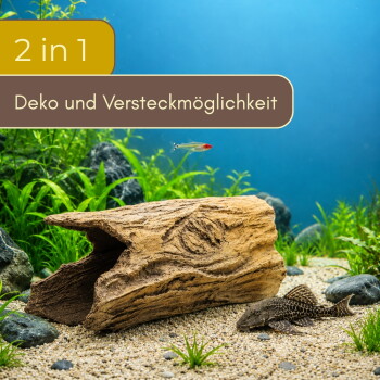 Aquarium mit hohlem Treibholz-Dekor, Wels (Pleco) auf Kies und Pflanzen; Text '2 in 1' und 'Deko und Versteckmöglichkeiten'.