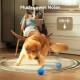 Golden Retriever spielt mit einem blauen Ball auf einem Teppich, Person liest im Hintergrund, Text „Much Lower Noise“ sichtbar.