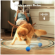 Golden Retriever spielt mit einem blauen Ball auf einem Teppich, Person liest im Hintergrund, Text „Much Lower Noise“ sichtbar.