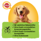 Ein glücklicher Golden Retriever Welpe mit seinen Pfoten auf einem grünen Banner, mit Text in deutscher Sprache über natürliche Zutaten und keine künstlichen Zusatzstoffe.