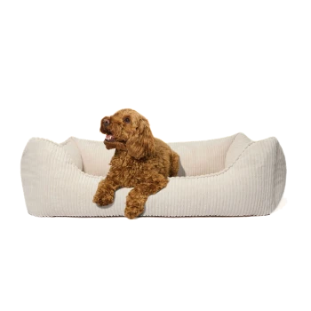 Ein plüschiges, beiges Hundebett mit geripptem Stoff und erhöhten Rändern, entworfen für Komfort und Unterstützung.