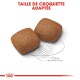 Deux croquettes pour animaux brunes sur un contour esquissé avec une règle, étiquetées "Taille de croquette adaptée" en texte rouge gras.
