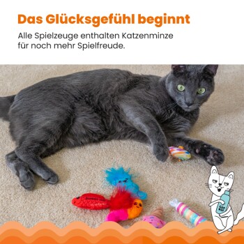 Eine graue Katze ruht auf einem beigen Teppich mit bunten Spielzeugen, mit dem Text: "Das Glücksgefühl beginnt" und "Alle Spielzeuge enthalten Katzenminze."