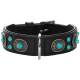 Schwarzes Leder-Haustierhalsband, verziert mit türkisfarbenen Steinen und silbernen Verzierungen, mit einer Metallschnalle und verstellbarem Riemen.