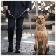 Eine Person in einem dunklen Mantel und kniehohen Stiefeln steht auf einer Kopfsteinpflasterstraße und hält eine Leine, die an einem sitzenden Hund befestigt ist.
