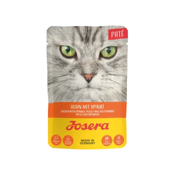 Katze Futterbeutel zeigt eine Nahaufnahme einer grünäugigen Katze. Text: "Huhn mit Spinat", "Josera", plus Icons für Lachsöl und Harnwegskontrolle.