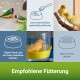 Bunte Vögel am Boden mit Fütterungshinweisen und einem Kanarienvogel in einem Wasserbehälter. Text: "Empfohlene Fütterung."