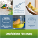 Bunte Vögel am Boden mit Fütterungshinweisen und einem Kanarienvogel in einem Wasserbehälter. Text: "Empfohlene Fütterung."