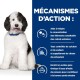 Un chien noir et blanc duveteux est assis avec la langue sortie à côté d'un texte sur les bienfaits pour la santé urinaire, y compris l'enrichissement en Oméga-3.