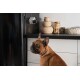 Ein brauner Französischer Bulldog sitzt in einer modernen Küche neben einem schwarzen Kühlschrank, mit geflochtenen Körben und einem Glas Leckerlis im Hintergrund.