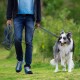 Eine Person in einem blauen Hemd und dunklem Hoodie führt einen glücklichen, flauschigen Border Collie an einer orangefarbenen Leine in einem grünen Park.