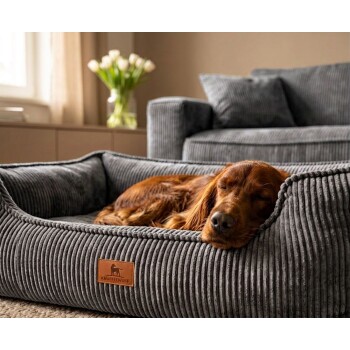 Rotbrauner Hund schläft in grauem Cord-Haustierbett mit Lederanhänger 'KNUFFELWUFF', im Hintergrund Sofa und Vase mit Tulpen.