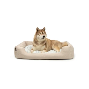 Ein gemütliches beiges Hundebett mit einem weichen, gesteppten Innenraum, mit einem entspannten Hund, der bequem darin liegt.
