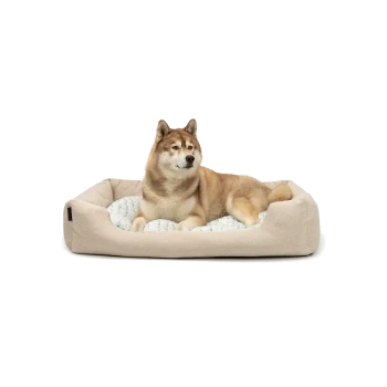Ein gemütliches beiges Hundebett mit einem weichen, gesteppten Innenraum, mit einem entspannten Hund, der bequem darin liegt.