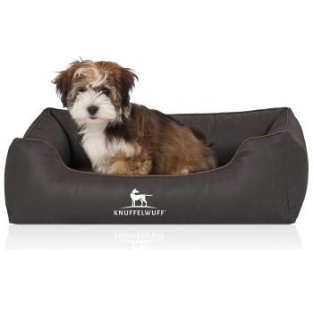 Ein kleiner, flauschiger Hund sitzt bequem in einem dunkelbraunen Haustierbett, auf dem das Logo "KNUFFELWUFF" deutlich auf der Vorderseite angezeigt wird.