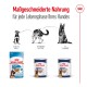 Maxi Ageing Mousse 12x410 g