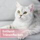 Silberweiße Katze mit grünen Augen liegt auf einem grauen Sofa; rosa Überlagerungstext: 'Entfernt Tränenflecken'.
