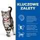 Pewny siebie srebrny kot tabby z zielonymi oczami i czerwoną obrożą stoi na tle niebieskiego tekstu wymieniającego korzyści produktu karmy dla kotów.
