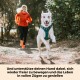 Ein weißer Hund in einem blauen Geschirr läuft auf einem Schotterweg neben einem Jogger in einer orangefarbenen Jacke und fördert aktives, freudvolles Leben für Haustiere.