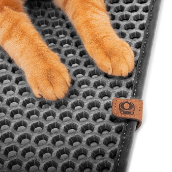 Orange-getigerte Katze in einer schwarzen, runden, automatischen Katzentoilette im Wohnzimmer; daneben sitzt eine Frau auf einem Sessel mit einer grauen Katze auf dem Schoß.