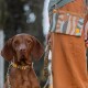 Brauner Hund an gemustertem Halsband und Leine neben einer Person im rostfarbenen Rock, passende Tasche mit kleinem gelbem Logo.