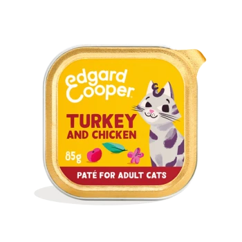 Edgard Cooper turkey and chicken cat pâté 85g tray, yellow label with cartoon cat and text "PATÉ FOR ADULT CATS"