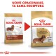 Obraz dwóch torebek karmy dla psów Royal Canin dla jamników, prezentujących nowy design opakowania z napisem "NOWE OPAKOWANIE, TA SAMA RECEPTURA."