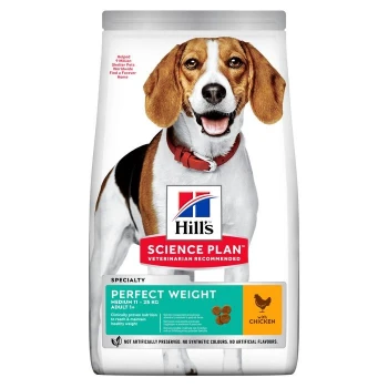 Science Plan Perfect Weight Adult Medium Chicken 2 kg Hill's Science Plan dog food bag featuring a beagle, labeled "Perfect Weight" for medium dogs, with chicken as the main ingredient.