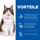 Eine flauschige Katze leckt sich die Lippen vor einem blauen Hintergrund mit Text über ActivBiome+ Ernährung für eine gesunde Verdauung.