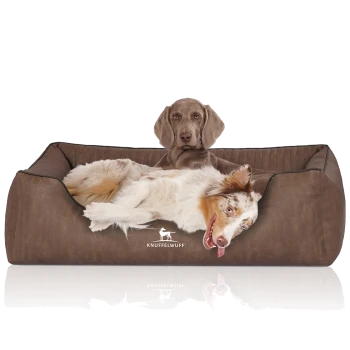 Ein entspannter Hund liegt bequem in einem braunen Haustierbett, mit dem Logo "KNUFFELWUFF" sichtbar auf der Vorderseite.