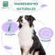 Ein schwarz-weißer Hund sitzt stolz, umgeben von Texten, die "Ingredientes Naturales", "Sin Alcohol" und "Vegan Friendly" hervorheben.
