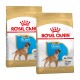Deux sacs de nourriture pour chiots Royal Canin Boxer, présentant un chiot Boxer sur l'emballage, avec un texte mettant en avant la nutrition santé de la race.