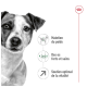 Image d'un chien avec du texte mettant en avant les avantages : 'Maintien du poids,' 'Des os forts et sains,' et 'Soutien optimal de la vitalité.'