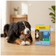 Berner Sennenhund kaut einen Zahnpflegestick neben einer MultiFit Dental Care+ Sticks-Box (Minze, 28 Sticks).