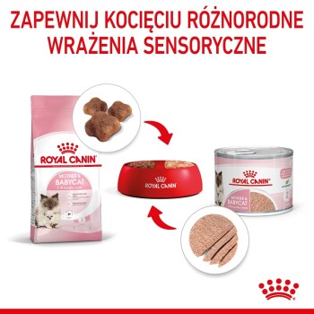 Torba z jedzeniem dla kociąt Royal Canin "Mother & Babycat", czerwona miska i puszka z mokrą karmą, promująca sensoryczne doświadczenia dla kociąt.