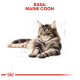 Ilustracja kota rasy Maine Coon z zielonymi oczami, wygodnie leżącego, z napisem "RASA: MAINE COON" na górze.