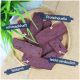 Hundeleckerlis auf einem Holzbrett präsentiert, beschriftet mit 'Leckerli', 'fettarm', 'auch für kleine Hunde' und 'gut verträglich'.