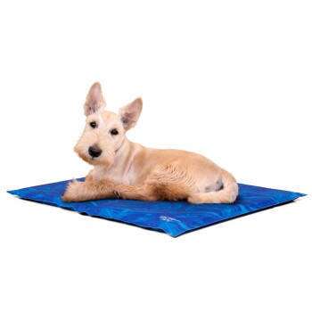 Ein hellfarbener Hund liegt auf einer blauen, marmorierten Haustiermatte und schaut mit einem neugierigen Ausdruck direkt in die Kamera.