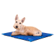 Ein hellfarbener Hund liegt auf einer blauen, marmorierten Haustiermatte und schaut mit einem neugierigen Ausdruck direkt in die Kamera.
