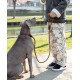Eine Frau in einer marineblauen Jacke und schwarzen Leggings hält eine Leine, die an einem sitzenden schwarz-weißen Hund in einem bewaldeten Gebiet befestigt ist.