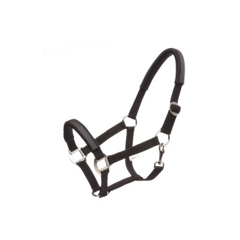 Schwarzes Haustiergeschirr mit verstellbaren Riemen und Metall-Schnallen, entworfen für Komfort und Kontrolle während der Spaziergänge.