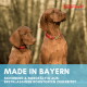 Fröhlicher schwarz-lohfarbener Hund auf Gras; weißes Banner mit der Aufschrift "WERTVOLLE NAHRUNGSERGÄNZUNG" und deutschem Produkttext