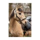 Lederhalfter Landscape schwarz Pony