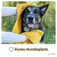 Eine Person wickelt sanft ein gelbes Handtuch um einen glücklichen Hund in einer natürlichen Umgebung, mit dem Text 'Pures Hundeglück' darunter.