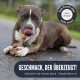 Ein brauner und weißer Hund leckt sich die Lippen, während er an einem Nylonknochen kaut. Text: "Geschmack, der überzeugt! Mit echtem Speck angereichert - Hunde lieben es!"