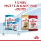 Image de nourriture pour chien Royal Canin : sac bleu "PUPPY," boîte, et formules adultes "Cocker" & "Medium." Texte : "À 12 MOIS, PASSEZ À UN ALIMENT POUR ADULTES."
