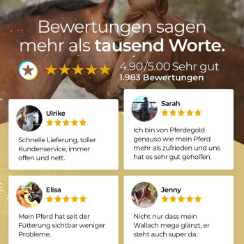 Zwei Pferde, die sich kuscheln, mit Bewertungs-Overlay: 'Bewertungen sagen mehr als tausend Worte.' 4,90/5,00 Sehr gut, 1.983 Bewertungen
