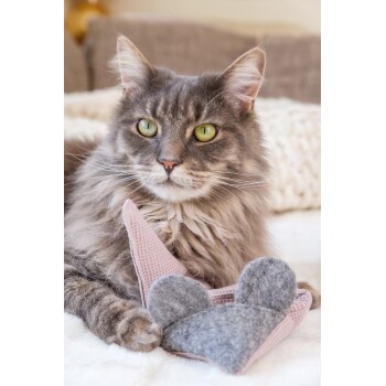 Graue langhaarige Katze mit grünen Augen liegt auf einer Decke und hält ein rosa-graues mausförmiges Katzenspielzeug.