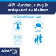 ADAPTIL Calm Anzeige: „Hilft Hunden, ruhig & entspannt zu bleiben“ – Symbole: Alleinsein, Unsicherheit, Laute Geräusche, Besucher.